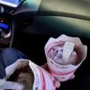 방월리 전집 | 포토 덤프 요렇게 하능 거 맞나요?..