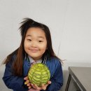 신선생요리전문학원 이미지