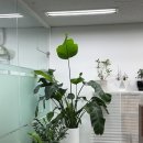 이호근사무소 이미지