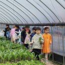 다온 태권도장 이미지