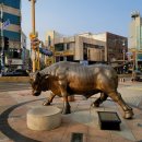 중앙동328 이미지