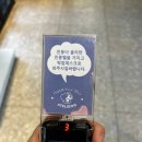 아틀리독 | 부평 애견카페 소형견 전용 운동장이 있는 십정동 [아틀리독]
