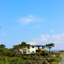 달숲하우스 이미지