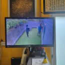 사천견생 이미지