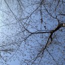 삿갓삿갓김삿갓 이미지