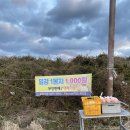 보룡농장 네이버블로그