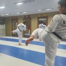 키즈태권스쿨 이미지