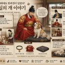 조선시대에도 반려견이 있었다? 왕실의 개 이야기