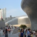 호모루덴스