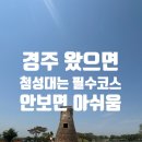 경주 첨성대 주차장 부터 사진 포즈까지 후기