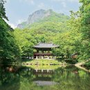 편백숲,쉼 이미지