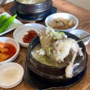 삼도오리삼계 | 일산 백석 룸식당 삼계보감 본점 마두삼계탕 맛집