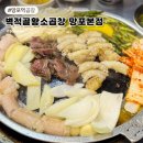 고박사황소양곱창 | 망포역 곱창 맛집 신선한 한우 곱창 벽적골황소곱창