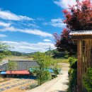 강가요가 - 함양군 상림2길 22 | 강가요가