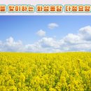 봉담 다정요양원 이미지