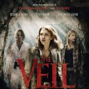 베일veil