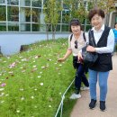 용님들 국립 농업 박물관 추억 이미지