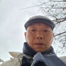 단정하개 이미지