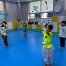 리틀 키즈 태권도장 이미지