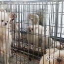 되고개농장 이미지