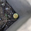 영운지역아동센터 이미지