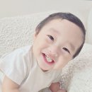 참돌식품 네이버블로그