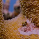 오동도관광호텔 이미지