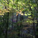 진남 농장 이미지