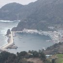 울릉도여행사
