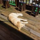 까롱별장 이미지