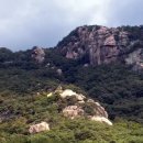 단양농협주유소 이미지