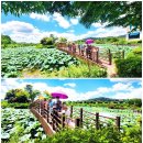 농업기술센터 안 이미지