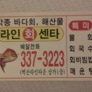 포항 물회가 맛난집... 이미지