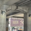 헤어바이칸 | [성수] 🥐아임도넛 웨이팅 / 29CM홈 / 블루 엘리펀트 / 키키노히호 라멘 / 브루잉 세레모니 드립커피