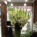 김재연한의원 이미지