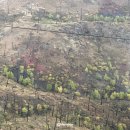 메트로모텔 | 캐나다 여행 250929 -로얄투어 3박 4일 로키 밴프 여행 1일차