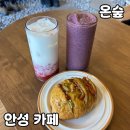 카이로스 | 안성 반제호수 신상카페 [온숲] 내돈내산 후기(구 카이로스)