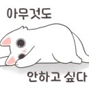 용호청년닭강정