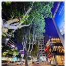 달구벌한의원 이미지