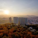 포레스타 인근 이미지