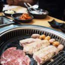 박종팔챔피언돼지