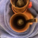 기산한의원 이미지