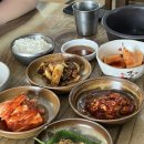 제주버들못