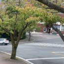 신라대식당 이미지