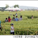 고향 축제 소개▒제4회 군산꽁당보리축제 오늘 개최 이미지