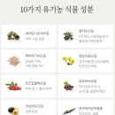 캐터스 이미지