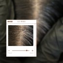 채오름SMP 이미지