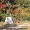 여울애꽃물들인 이미지