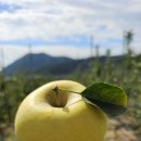 세형농장 이미지