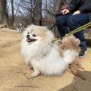 일산근린공원 화장실 이미지